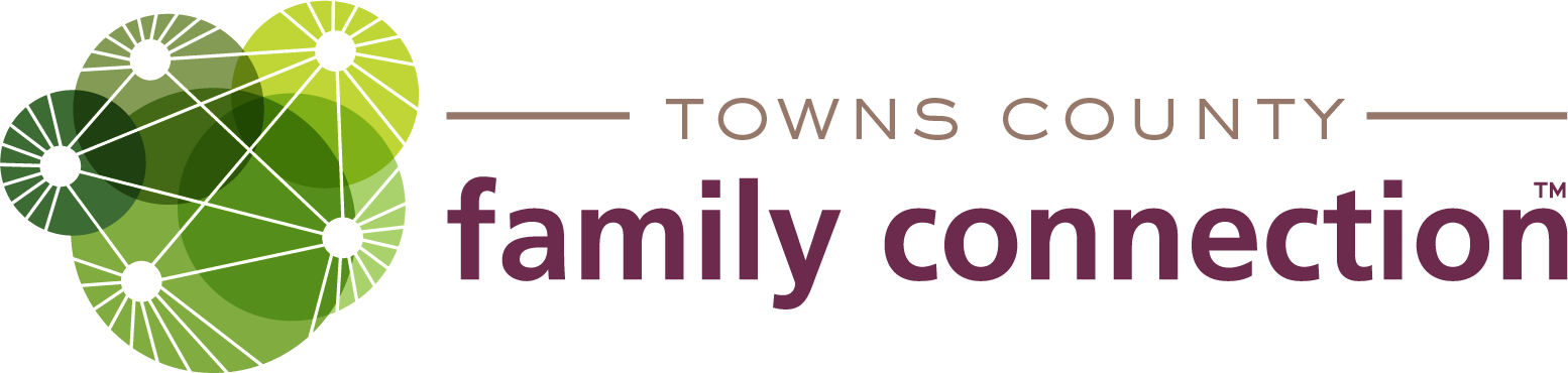 Towns County – GAFCP logo
